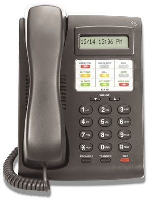 ESI 12-Key Digital Feature Phones